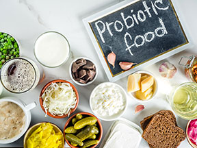 introduction to probiotics
